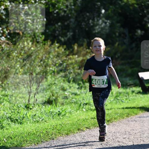 27.09.2026 - 35. Volkslauf durch das schöne Alstertal Dr. Thomas Lammeyer http://msf.ph/oto/10568432 27.09.2026 10:52:46 Laufen 4087 meine-sportfotos.de