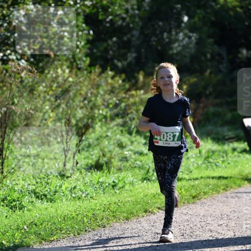 27.09.2026 - 35. Volkslauf durch das schöne Alstertal Dr. Thomas Lammeyer http://msf.ph/oto/10568433 27.09.2026 10:52:47 Laufen 087 meine-sportfotos.de