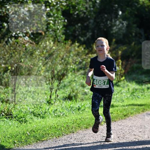 27.09.2026 - 35. Volkslauf durch das schöne Alstertal Dr. Thomas Lammeyer http://msf.ph/oto/10568434 27.09.2026 10:52:47 Laufen 4087 meine-sportfotos.de