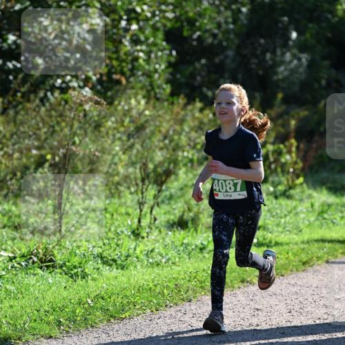 27.09.2026 - 35. Volkslauf durch das schöne Alstertal Dr. Thomas Lammeyer http://msf.ph/oto/10568435 27.09.2026 10:52:47 Laufen 4087 meine-sportfotos.de