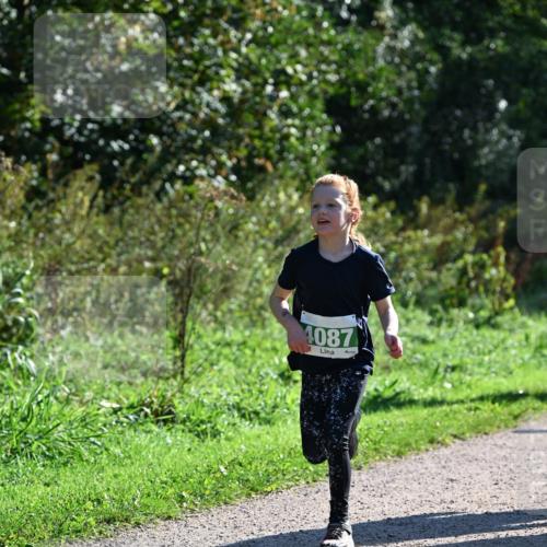 27.09.2026 - 35. Volkslauf durch das schöne Alstertal Dr. Thomas Lammeyer http://msf.ph/oto/10568438 27.09.2026 10:52:47 Laufen 4087 meine-sportfotos.de