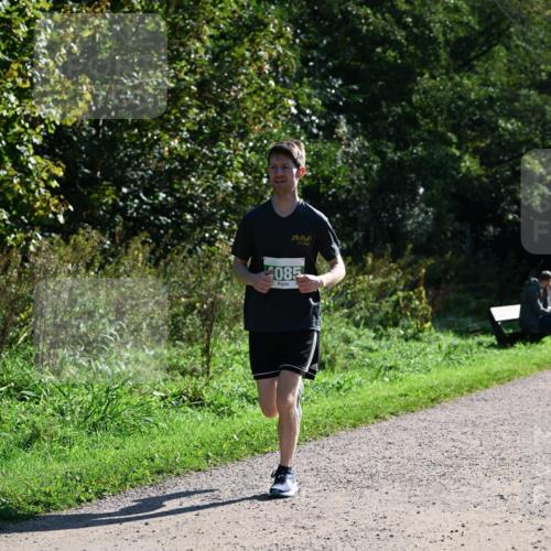 27.09.2026 - 35. Volkslauf durch das schöne Alstertal Dr. Thomas Lammeyer http://msf.ph/oto/10568454 27.09.2026 10:52:55 Laufen 085 meine-sportfotos.de