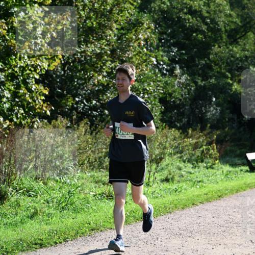 27.09.2026 - 35. Volkslauf durch das schöne Alstertal Dr. Thomas Lammeyer http://msf.ph/oto/10568456 27.09.2026 10:52:55 Laufen 40 meine-sportfotos.de