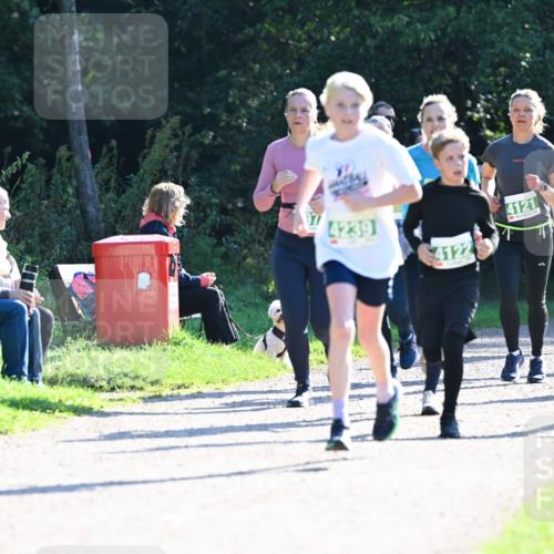 27.09.2026 - 35. Volkslauf durch das schöne Alstertal Dr. Thomas Lammeyer http://msf.ph/oto/10568459 27.09.2026 10:53:07 Laufen 4239, 4122, 4121, 421, 4140, 21 meine-sportfotos.de