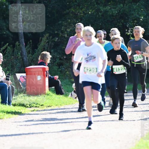 27.09.2026 - 35. Volkslauf durch das schöne Alstertal Dr. Thomas Lammeyer http://msf.ph/oto/10568460 27.09.2026 10:53:07 Laufen 4239, 4122, 4121, 4214, 4140, 213 meine-sportfotos.de