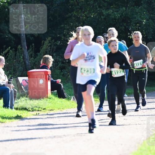 27.09.2026 - 35. Volkslauf durch das schöne Alstertal Dr. Thomas Lammeyer http://msf.ph/oto/10568461 27.09.2026 10:53:07 Laufen 4121, 4122, 4140 meine-sportfotos.de