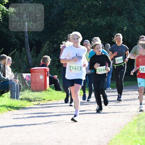 27.09.2026 - 35. Volkslauf durch das schöne Alstertal Dr. Thomas Lammeyer http://msf.ph/oto/10568462 27.09.2026 10:53:08 Laufen 4239, 4122, 4121, 414 meine-sportfotos.de
