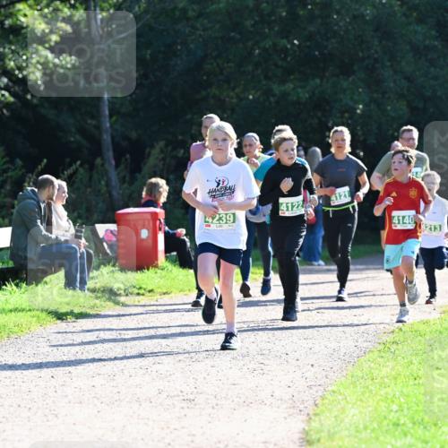 27.09.2026 - 35. Volkslauf durch das schöne Alstertal Dr. Thomas Lammeyer http://msf.ph/oto/10568463 27.09.2026 10:53:08 Laufen 30, 207, 4239, 4122, 4121, 4140, 4213 meine-sportfotos.de
