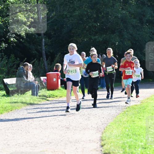 27.09.2026 - 35. Volkslauf durch das schöne Alstertal Dr. Thomas Lammeyer http://msf.ph/oto/10568464 27.09.2026 10:53:08 Laufen 4239, 4121, 122, 4140, 4213 meine-sportfotos.de