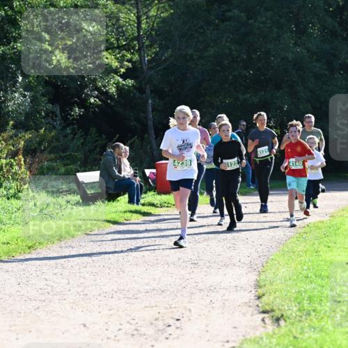 27.09.2026 - 35. Volkslauf durch das schöne Alstertal Dr. Thomas Lammeyer http://msf.ph/oto/10568467 27.09.2026 10:53:08 Laufen 4239, 4121, 122, 4140 meine-sportfotos.de