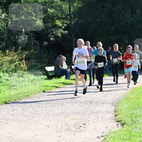 27.09.2026 - 35. Volkslauf durch das schöne Alstertal Dr. Thomas Lammeyer http://msf.ph/oto/10568468 27.09.2026 10:53:09 Laufen 4239, 4121, 4140, 4122, 4213 meine-sportfotos.de