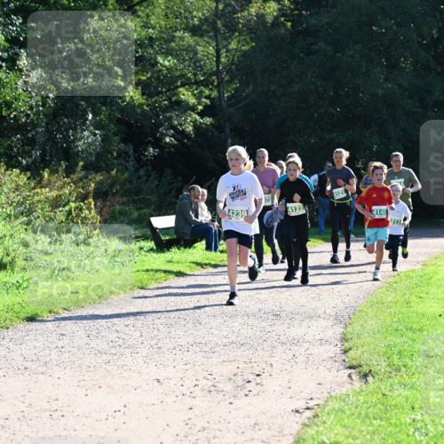 27.09.2026 - 35. Volkslauf durch das schöne Alstertal Dr. Thomas Lammeyer http://msf.ph/oto/10568469 27.09.2026 10:53:09 Laufen 2016, 4239, 73, 4121, 4122, 4140, 213 meine-sportfotos.de