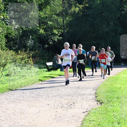 27.09.2026 - 35. Volkslauf durch das schöne Alstertal Dr. Thomas Lammeyer http://msf.ph/oto/10568470 27.09.2026 10:53:09 Laufen 4239, 4122, 4140, 213 meine-sportfotos.de