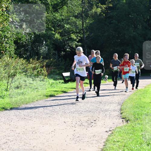 27.09.2026 - 35. Volkslauf durch das schöne Alstertal Dr. Thomas Lammeyer http://msf.ph/oto/10568473 27.09.2026 10:53:09 Laufen 4239, 4121, 4122, 4140, 4213, 4214 meine-sportfotos.de