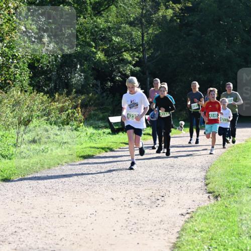27.09.2026 - 35. Volkslauf durch das schöne Alstertal Dr. Thomas Lammeyer http://msf.ph/oto/10568474 27.09.2026 10:53:09 Laufen 4232, 4121, 4140, 4213, 214 meine-sportfotos.de