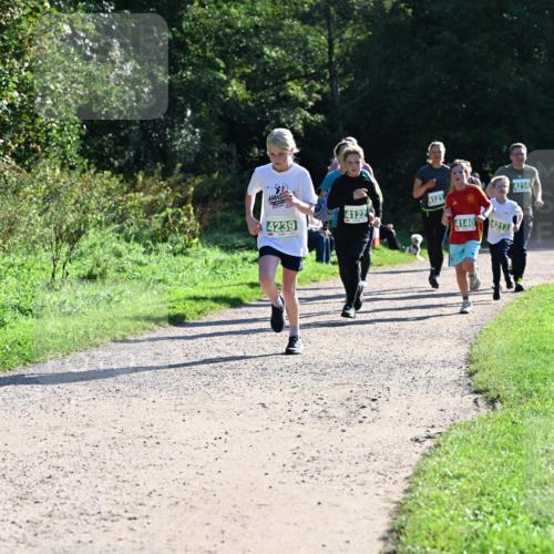 27.09.2026 - 35. Volkslauf durch das schöne Alstertal Dr. Thomas Lammeyer http://msf.ph/oto/10568477 27.09.2026 10:53:10 Laufen 4239, 4121, 4122, 4140, 4213, 4214 meine-sportfotos.de