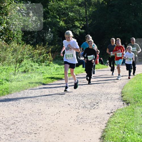 27.09.2026 - 35. Volkslauf durch das schöne Alstertal Dr. Thomas Lammeyer http://msf.ph/oto/10568478 27.09.2026 10:53:10 Laufen 4239, 4122, 4140, 213, 214 meine-sportfotos.de
