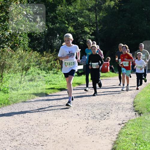 27.09.2026 - 35. Volkslauf durch das schöne Alstertal Dr. Thomas Lammeyer http://msf.ph/oto/10568480 27.09.2026 10:53:10 Laufen 4239, 4140, 412, 4213 meine-sportfotos.de