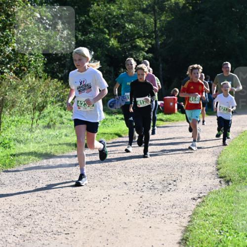 27.09.2026 - 35. Volkslauf durch das schöne Alstertal Dr. Thomas Lammeyer http://msf.ph/oto/10568483 27.09.2026 10:53:11 Laufen 30, 2026, 425, 412, 4140, 4213 meine-sportfotos.de