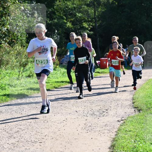 27.09.2026 - 35. Volkslauf durch das schöne Alstertal Dr. Thomas Lammeyer http://msf.ph/oto/10568484 27.09.2026 10:53:11 Laufen 30, 02, 4239, 414, 4122, 4140 meine-sportfotos.de