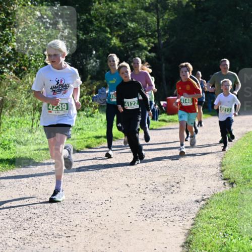 27.09.2026 - 35. Volkslauf durch das schöne Alstertal Dr. Thomas Lammeyer http://msf.ph/oto/10568485 27.09.2026 10:53:11 Laufen 30, 026, 4239, 4140, 4122, 4213 meine-sportfotos.de