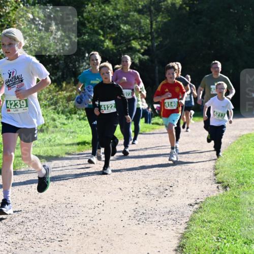 27.09.2026 - 35. Volkslauf durch das schöne Alstertal Dr. Thomas Lammeyer http://msf.ph/oto/10568487 27.09.2026 10:53:11 Laufen 30, 2026, 4239, 4122, 073, 4140, 4213 meine-sportfotos.de