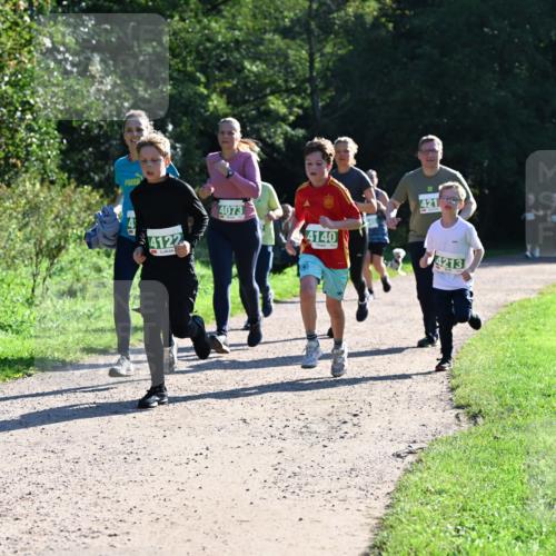 27.09.2026 - 35. Volkslauf durch das schöne Alstertal Dr. Thomas Lammeyer http://msf.ph/oto/10568488 27.09.2026 10:53:12 Laufen 30, 202, 4239, 4122, 4073, 4140, 421, 4213 meine-sportfotos.de