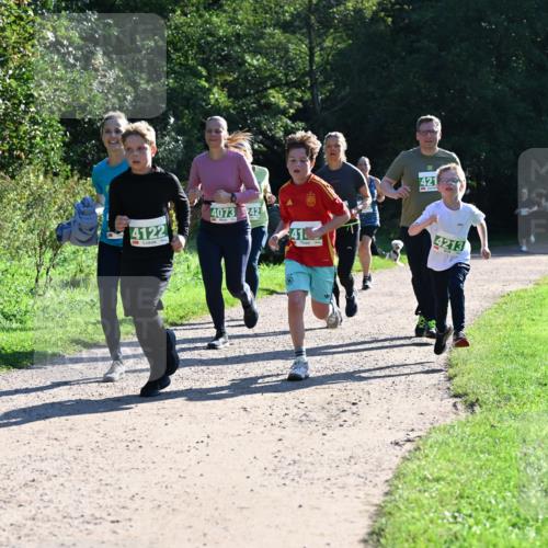 27.09.2026 - 35. Volkslauf durch das schöne Alstertal Dr. Thomas Lammeyer http://msf.ph/oto/10568489 27.09.2026 10:53:12 Laufen 4122, 4073, 42, 421, 4213 meine-sportfotos.de