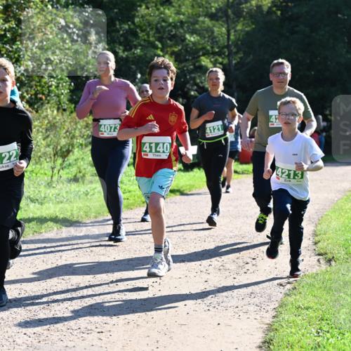 27.09.2026 - 35. Volkslauf durch das schöne Alstertal Dr. Thomas Lammeyer http://msf.ph/oto/10568495 27.09.2026 10:53:13 Laufen 4122, 4073, 4140, 4121, 42, 4213 meine-sportfotos.de