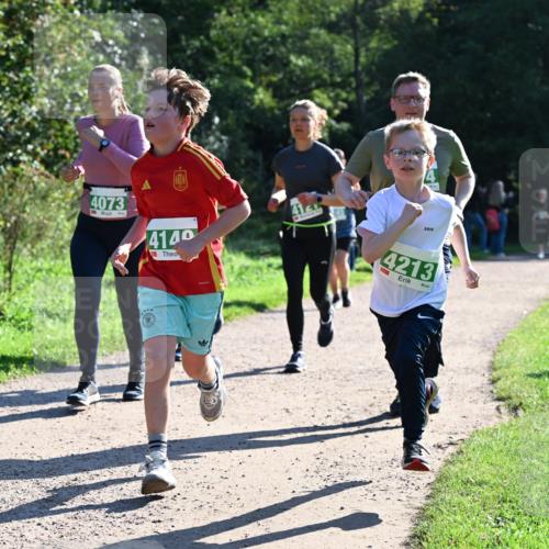 27.09.2026 - 35. Volkslauf durch das schöne Alstertal Dr. Thomas Lammeyer http://msf.ph/oto/10568498 27.09.2026 10:53:13 Laufen 22, 4073, 4140, 412, 4213 meine-sportfotos.de