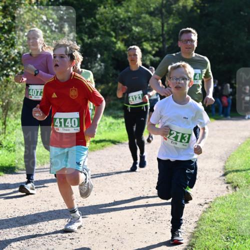 27.09.2026 - 35. Volkslauf durch das schöne Alstertal Dr. Thomas Lammeyer http://msf.ph/oto/10568499 27.09.2026 10:53:13 Laufen 407, 4140, 4121, 4, 213 meine-sportfotos.de