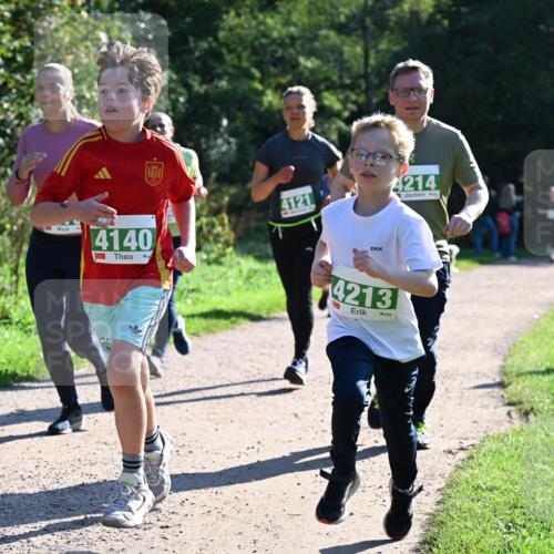 27.09.2026 - 35. Volkslauf durch das schöne Alstertal Dr. Thomas Lammeyer http://msf.ph/oto/10568500 27.09.2026 10:53:13 Laufen 4140, 1, 4121, 14213, 4214 meine-sportfotos.de
