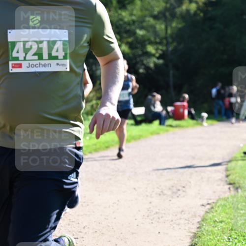 27.09.2026 - 35. Volkslauf durch das schöne Alstertal Dr. Thomas Lammeyer http://msf.ph/oto/10568506 27.09.2026 10:53:15 Laufen 4214 meine-sportfotos.de