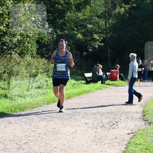 27.09.2026 - 35. Volkslauf durch das schöne Alstertal Dr. Thomas Lammeyer http://msf.ph/oto/10568509 27.09.2026 10:53:15 Laufen 4245 meine-sportfotos.de