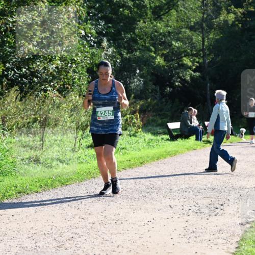 27.09.2026 - 35. Volkslauf durch das schöne Alstertal Dr. Thomas Lammeyer http://msf.ph/oto/10568512 27.09.2026 10:53:16 Laufen 4245 meine-sportfotos.de