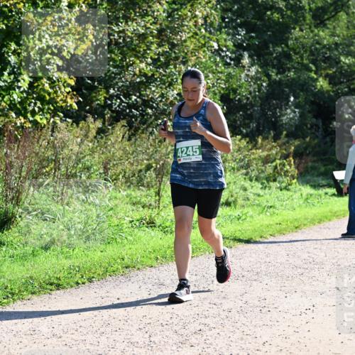 27.09.2026 - 35. Volkslauf durch das schöne Alstertal Dr. Thomas Lammeyer http://msf.ph/oto/10568516 27.09.2026 10:53:16 Laufen 4245 meine-sportfotos.de