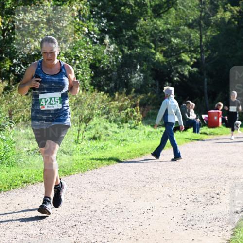 27.09.2026 - 35. Volkslauf durch das schöne Alstertal Dr. Thomas Lammeyer http://msf.ph/oto/10568518 27.09.2026 10:53:17 Laufen 4245 meine-sportfotos.de