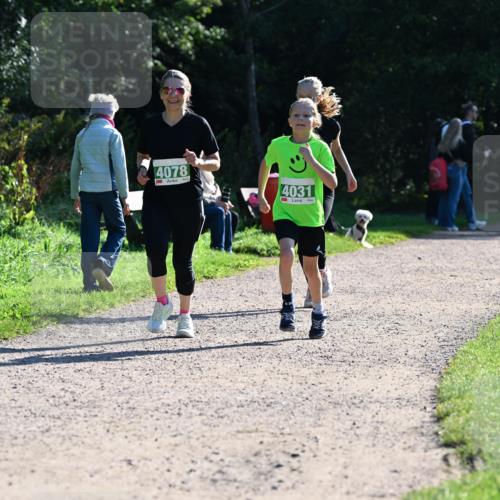 27.09.2026 - 35. Volkslauf durch das schöne Alstertal Dr. Thomas Lammeyer http://msf.ph/oto/10568519 27.09.2026 10:53:19 Laufen 4078, 4031 meine-sportfotos.de
