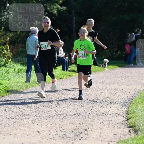 27.09.2026 - 35. Volkslauf durch das schöne Alstertal Dr. Thomas Lammeyer http://msf.ph/oto/10568520 27.09.2026 10:53:19 Laufen 4078, 4031 meine-sportfotos.de