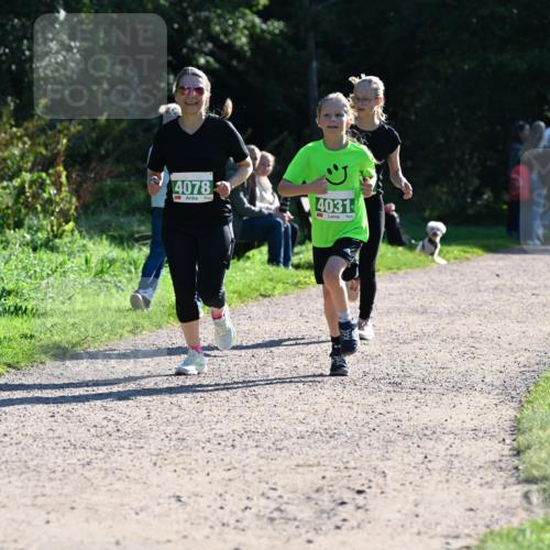 27.09.2026 - 35. Volkslauf durch das schöne Alstertal Dr. Thomas Lammeyer http://msf.ph/oto/10568521 27.09.2026 10:53:20 Laufen 4078, 4031 meine-sportfotos.de