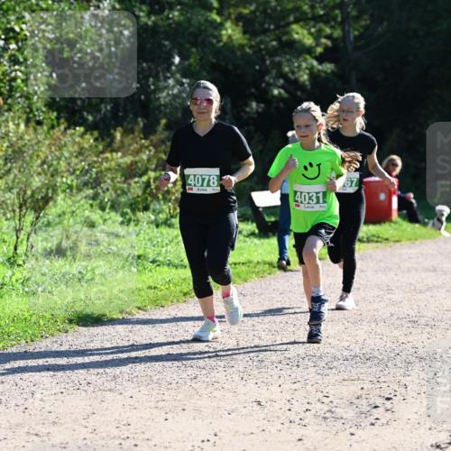27.09.2026 - 35. Volkslauf durch das schöne Alstertal Dr. Thomas Lammeyer http://msf.ph/oto/10568526 27.09.2026 10:53:20 Laufen 4078, 4031 meine-sportfotos.de