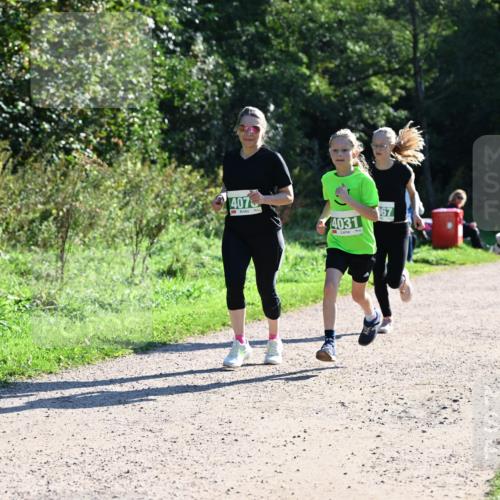 27.09.2026 - 35. Volkslauf durch das schöne Alstertal Dr. Thomas Lammeyer http://msf.ph/oto/10568529 27.09.2026 10:53:21 Laufen 407, 4031, 67 meine-sportfotos.de