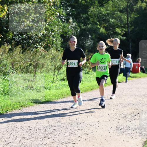 27.09.2026 - 35. Volkslauf durch das schöne Alstertal Dr. Thomas Lammeyer http://msf.ph/oto/10568531 27.09.2026 10:53:21 Laufen 4078, 4031, 4067 meine-sportfotos.de