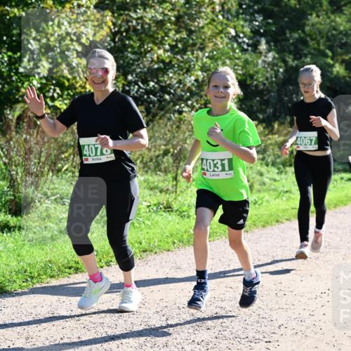 27.09.2026 - 35. Volkslauf durch das schöne Alstertal Dr. Thomas Lammeyer http://msf.ph/oto/10568538 27.09.2026 10:53:22 Laufen 407, 4031, 4067 meine-sportfotos.de