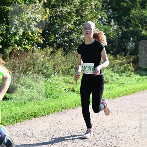27.09.2026 - 35. Volkslauf durch das schöne Alstertal Dr. Thomas Lammeyer http://msf.ph/oto/10568540 27.09.2026 10:53:23 Laufen 4031, 4067 meine-sportfotos.de