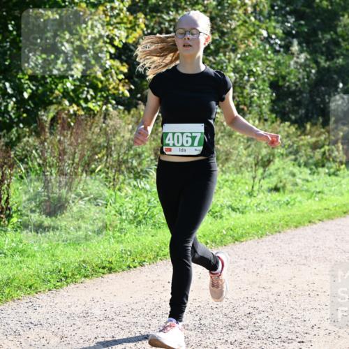 27.09.2026 - 35. Volkslauf durch das schöne Alstertal Dr. Thomas Lammeyer http://msf.ph/oto/10568542 27.09.2026 10:53:23 Laufen 4067 meine-sportfotos.de