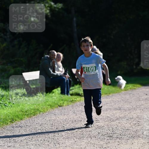 27.09.2026 - 35. Volkslauf durch das schöne Alstertal Dr. Thomas Lammeyer http://msf.ph/oto/10568543 27.09.2026 10:53:36 Laufen 4109 meine-sportfotos.de