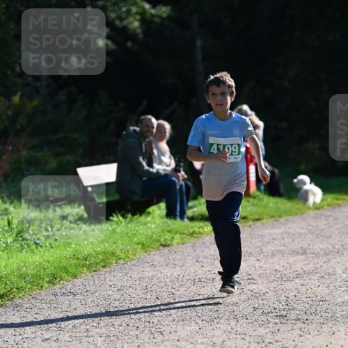 27.09.2026 - 35. Volkslauf durch das schöne Alstertal Dr. Thomas Lammeyer http://msf.ph/oto/10568544 27.09.2026 10:53:36 Laufen 4199 meine-sportfotos.de