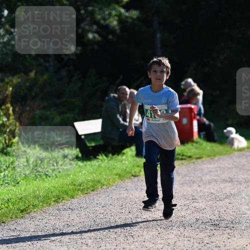 27.09.2026 - 35. Volkslauf durch das schöne Alstertal Dr. Thomas Lammeyer http://msf.ph/oto/10568546 27.09.2026 10:53:37 Laufen 41 meine-sportfotos.de