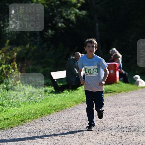 27.09.2026 - 35. Volkslauf durch das schöne Alstertal Dr. Thomas Lammeyer http://msf.ph/oto/10568547 27.09.2026 10:53:37 Laufen 4109 meine-sportfotos.de
